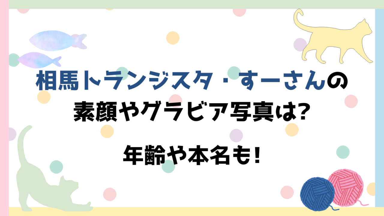 相馬トランジスタ　すーさん